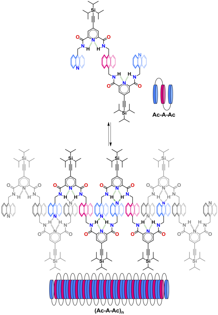 A new paper published by Prof. Mateo-Alonso and co-workers in Angewandte Chemie selected as Hot Paper