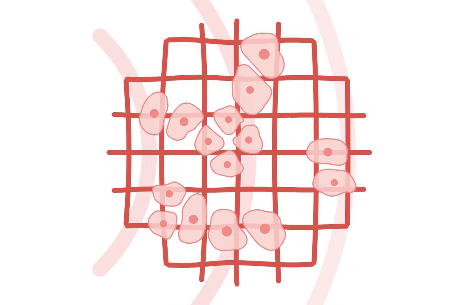 Illustration of a porous scaffold colonised by cells and stimulated by ultrasound waves